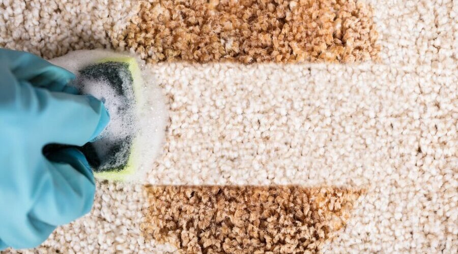 Mastering the Art of Carpet Cleaning